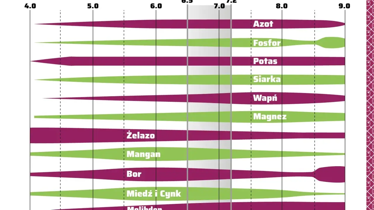 Wykres pokazuje przyswajalność składników pokarmowych w zależności od pH. Np. ph kału 8 oznacza, że niektóre składniki są gorzej przyswajalne.