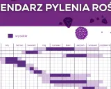 Kalendarz pylenia roślin: brzoza pyli od marca do maja, olcha i leszczyna wcześniej.
