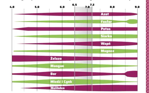 Wykres pokazuje przyswajalność składników pokarmowych w zależności od pH. Np. ph kału 8 oznacza, że niektóre składniki są gorzej przyswajalne.