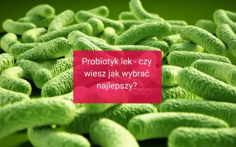 Wizualizacja bakterii, tło dla informacji o probiotyk dla dorosłych. Czy wiesz, jak wybrać najlepszy?
