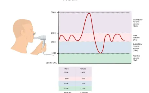 Graf spirometrii pokazuje, ile trwa spirometria, analizując objętość oddechową.