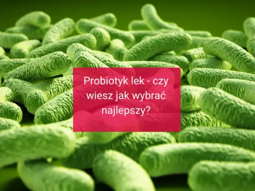 Wizualizacja bakterii, tło dla informacji o probiotyk dla dorosłych. Czy wiesz, jak wybrać najlepszy?
