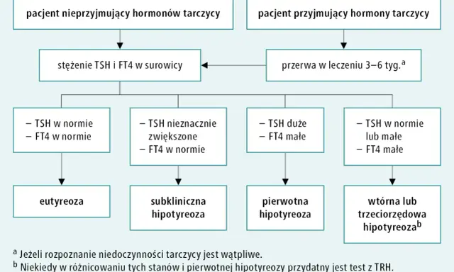 Schemat diagnostyki niedoczynności tarczycy, uwzględniający nowy lek. Analiza TSH i FT4 pomaga rozpoznać stan pacjenta.