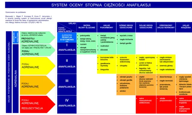 System oceny ciężkości anafilaksji: od łagodnych objawów skórnych po ciężki wstrząs anafilaktyczny z niewydolnością krążenia.