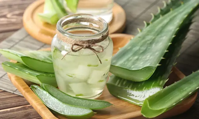 Słoik z sokiem z aloesu, otoczony świeżymi liśćmi aloesu. Naturalny eliksir zdrowia.