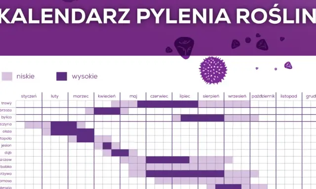 Kalendarz pylenia roślin: brzoza pyli od marca do maja, olcha i leszczyna wcześniej.